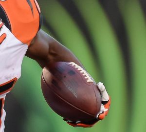Tennessee Titans v Cincinnati Bengals