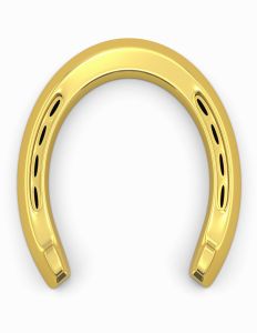 Lucky Gold Horse Shoe