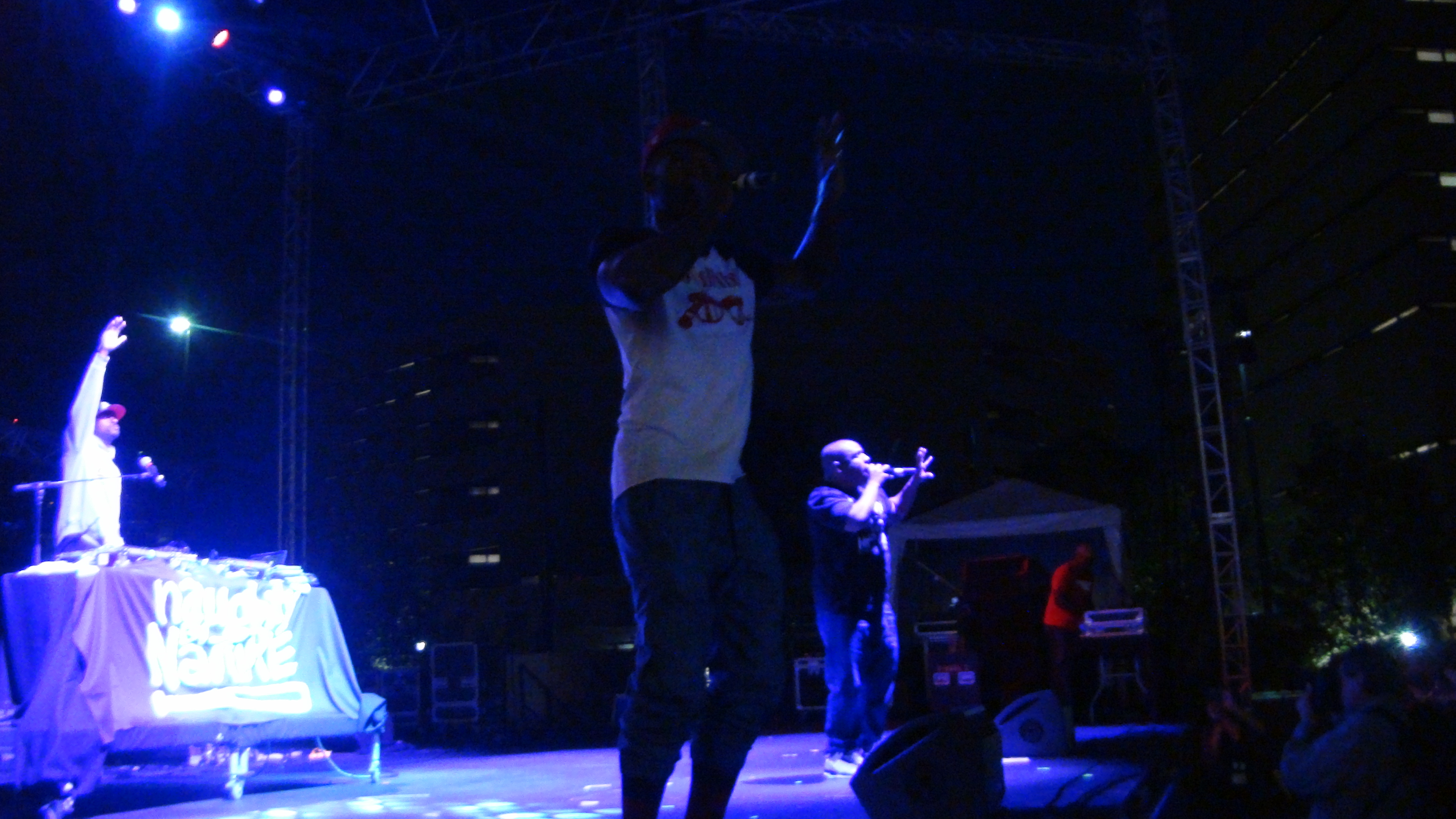 Jammin In The Park Naughty By Nature