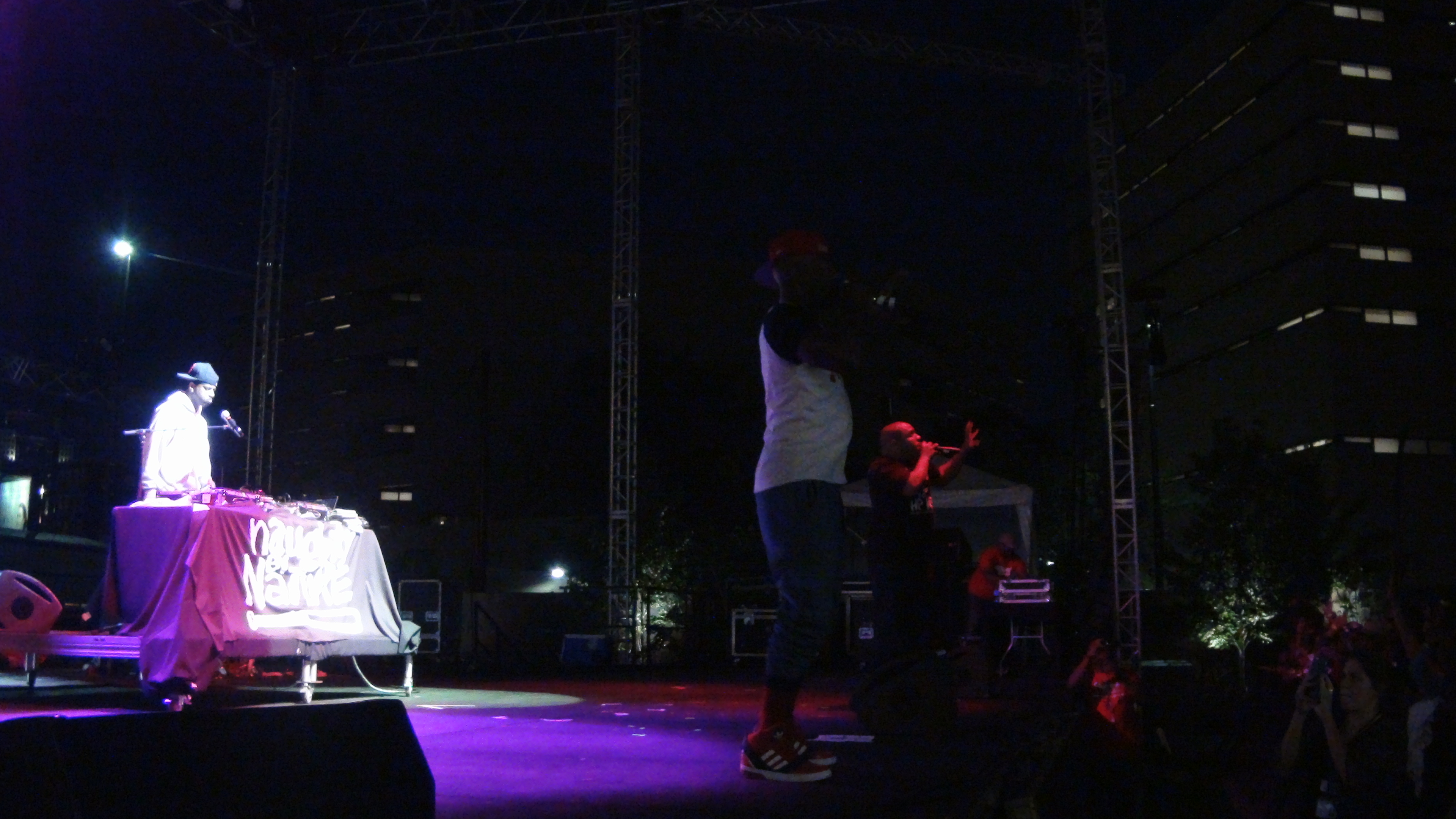 Jammin In The Park Naughty By Nature