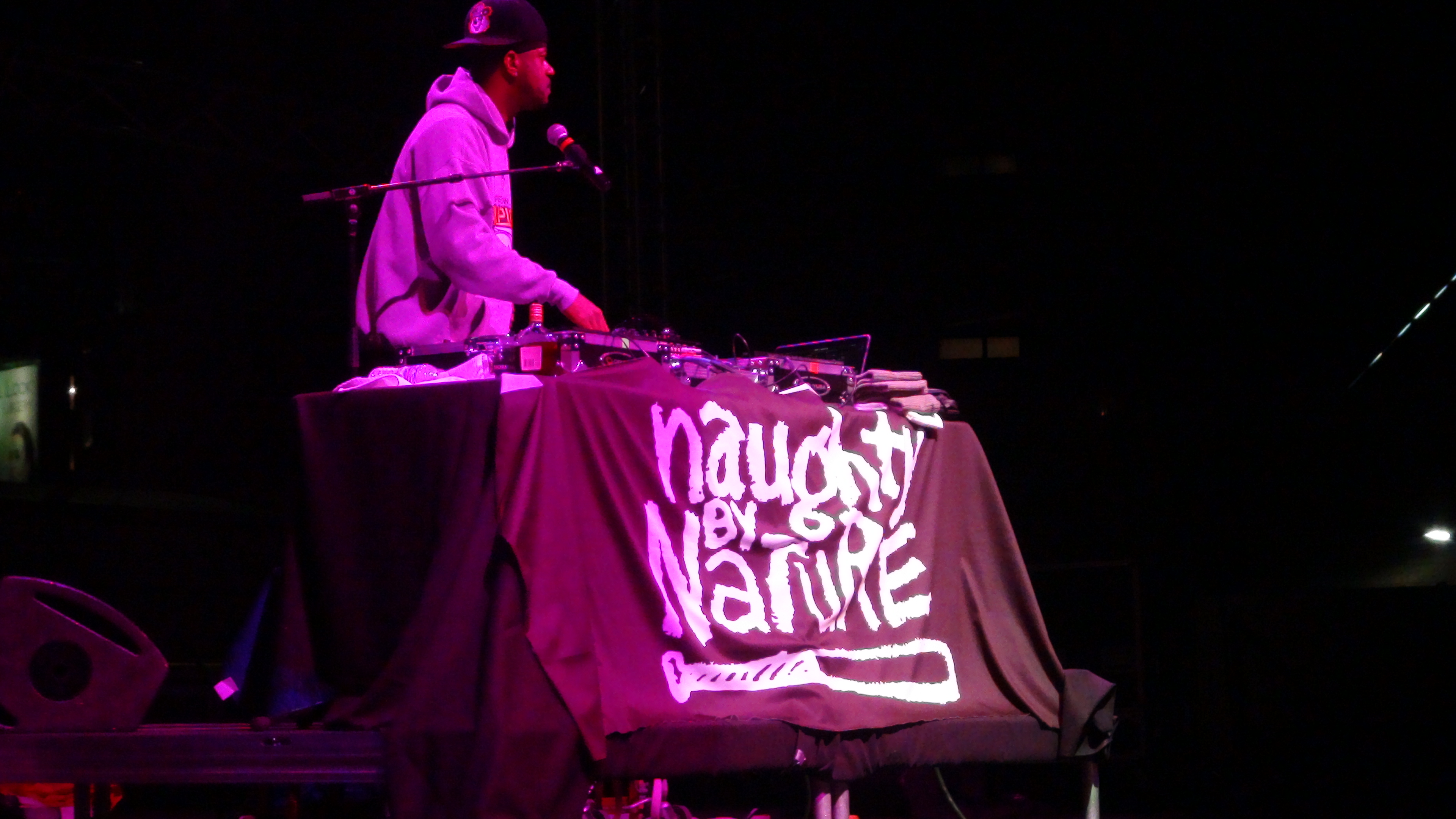 Jammin In The Park Naughty By Nature