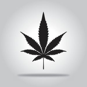 Black Marijuana Leaf icon