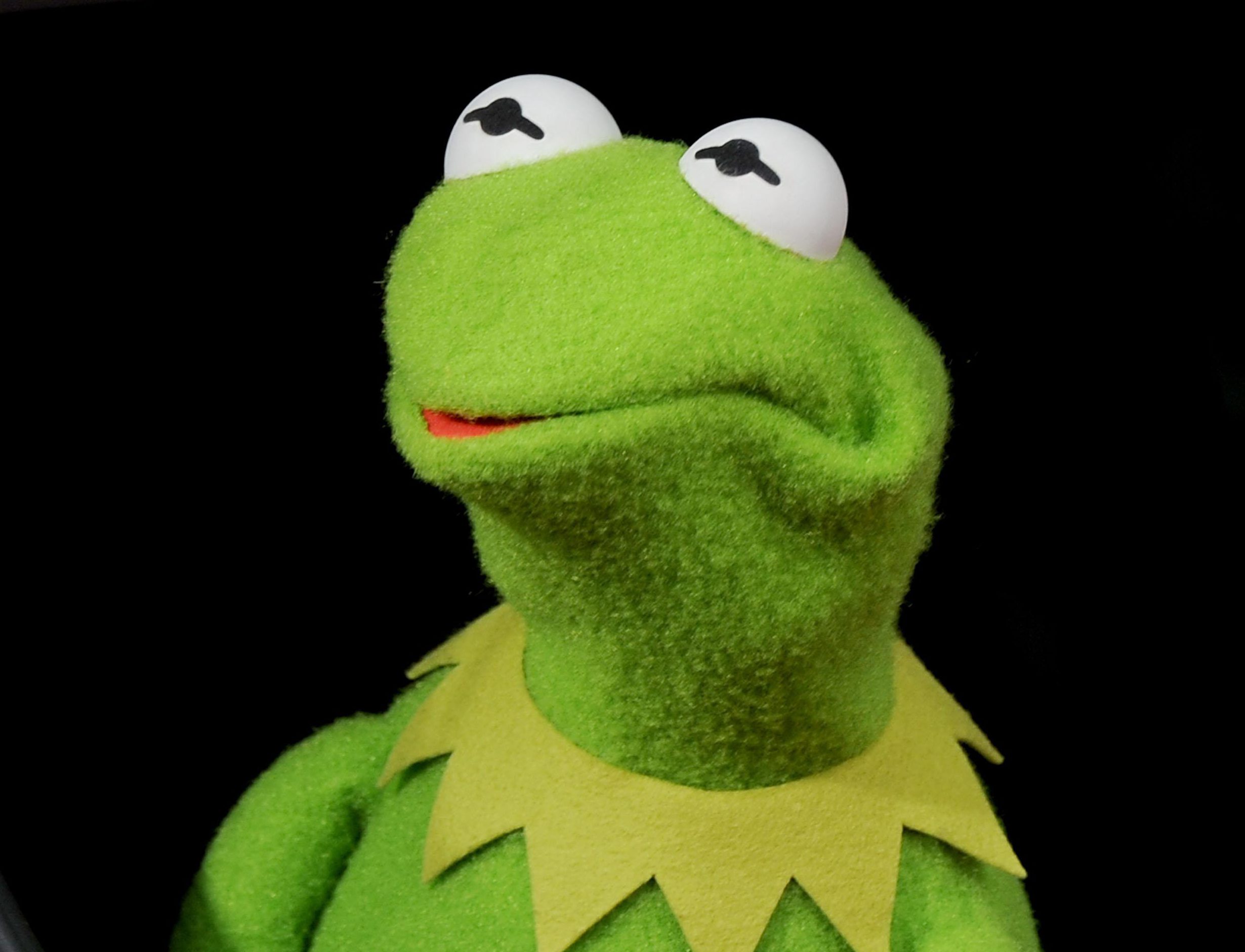 Disney's 'Muppets Most Wanted' - Los Angeles Premiere - Arrivals