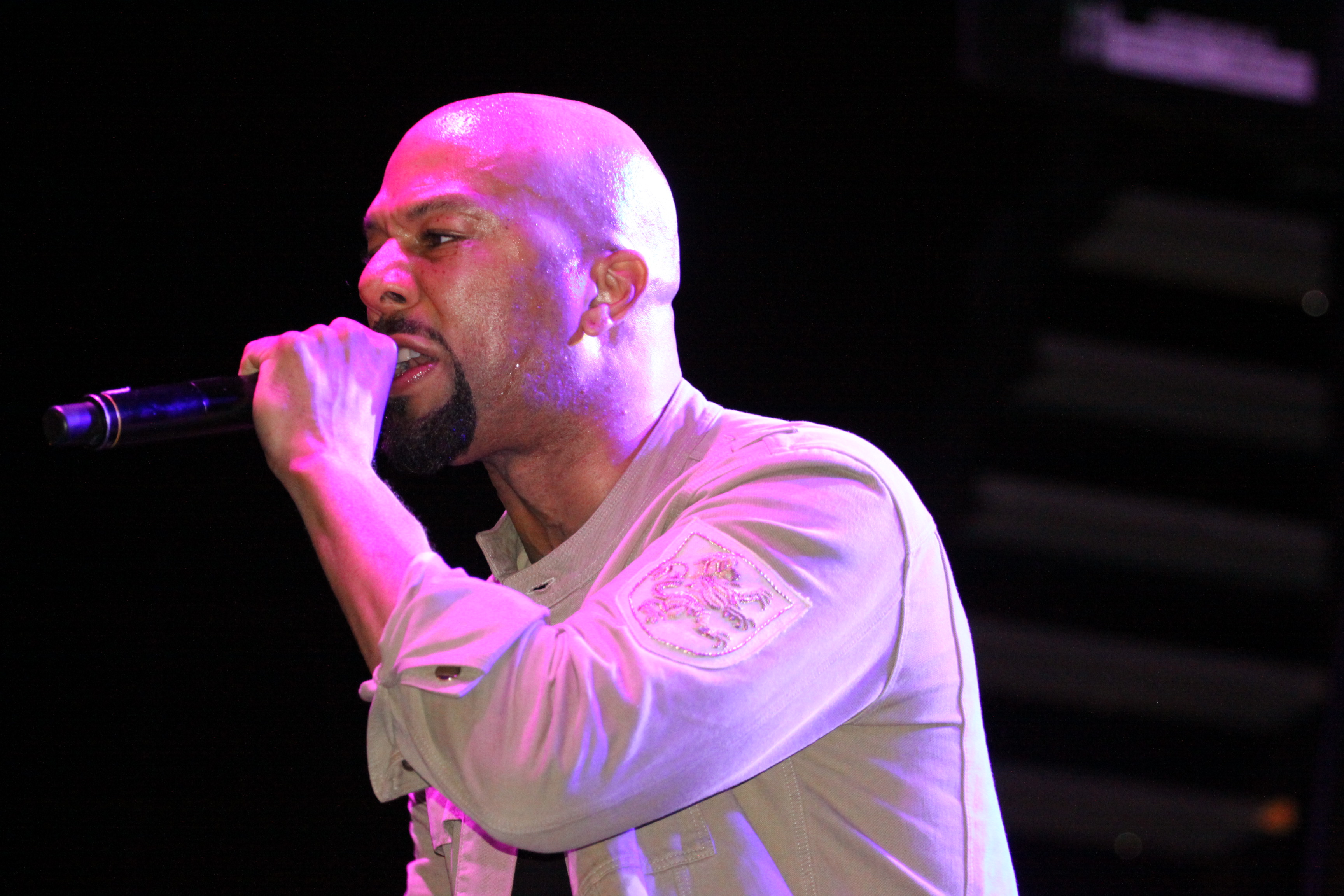 Common performs at the Neighborhood to Neighborhood Street Festival