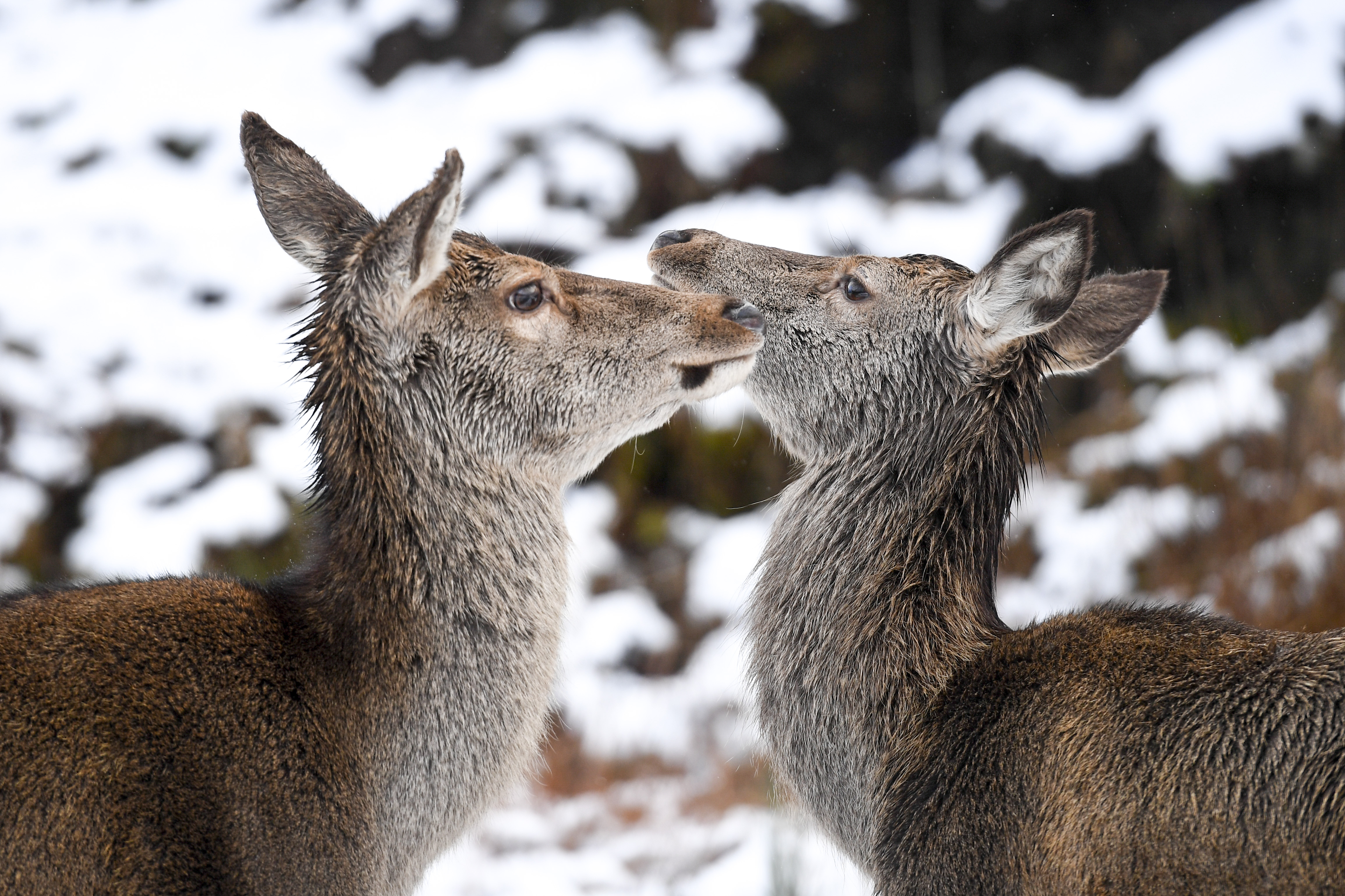 Chilly Tuesday in Scotland
