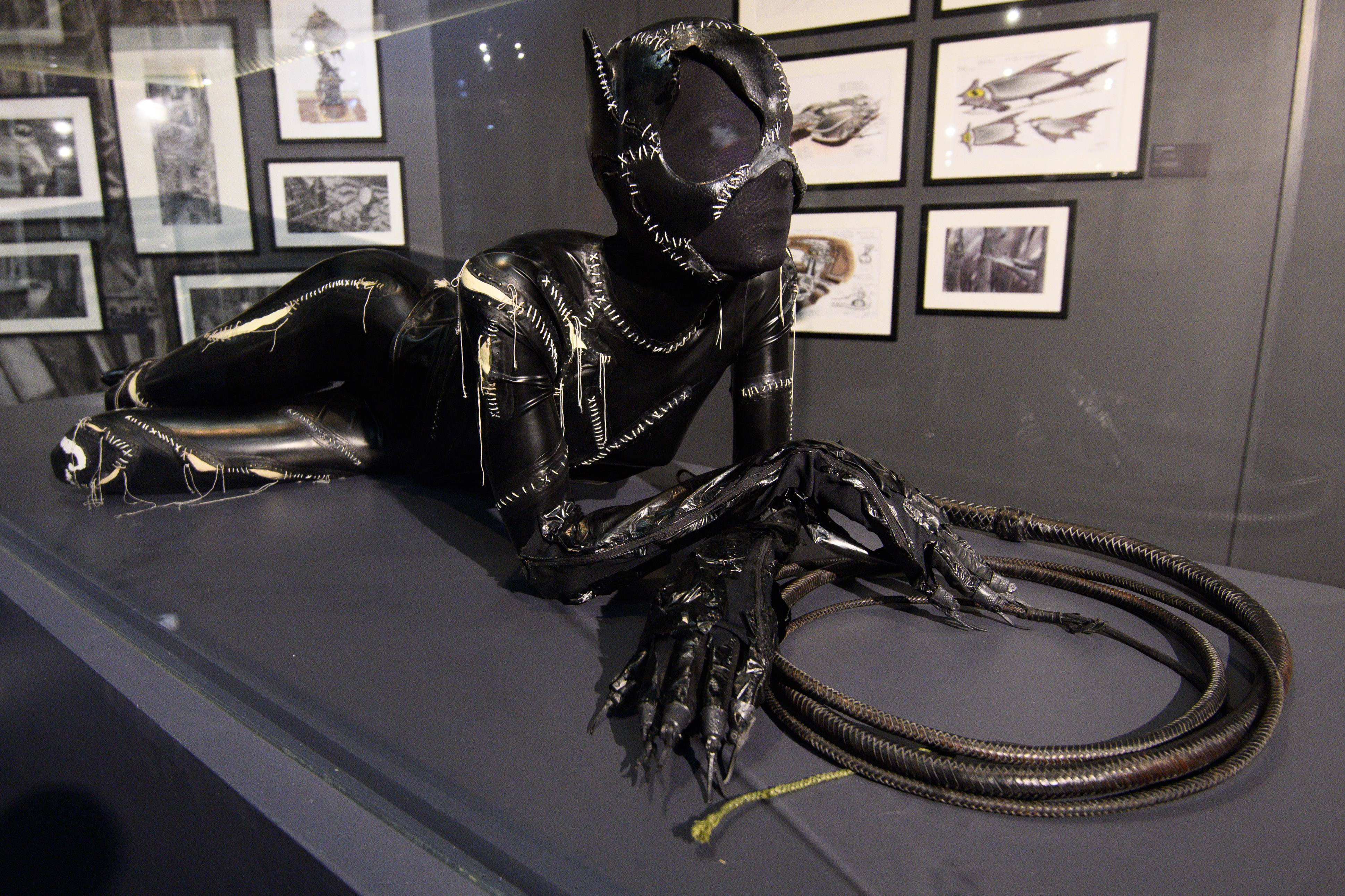 DC Comics Dawn of the Super Heroe's Exhibition