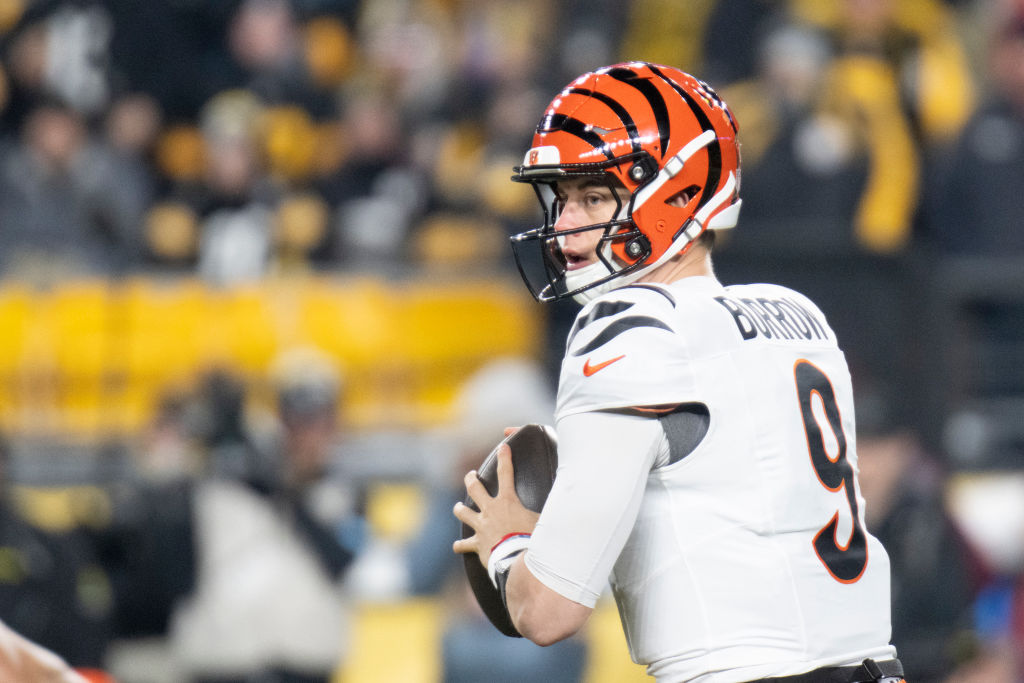 NFL: JAN 04 Bengals at Steelers