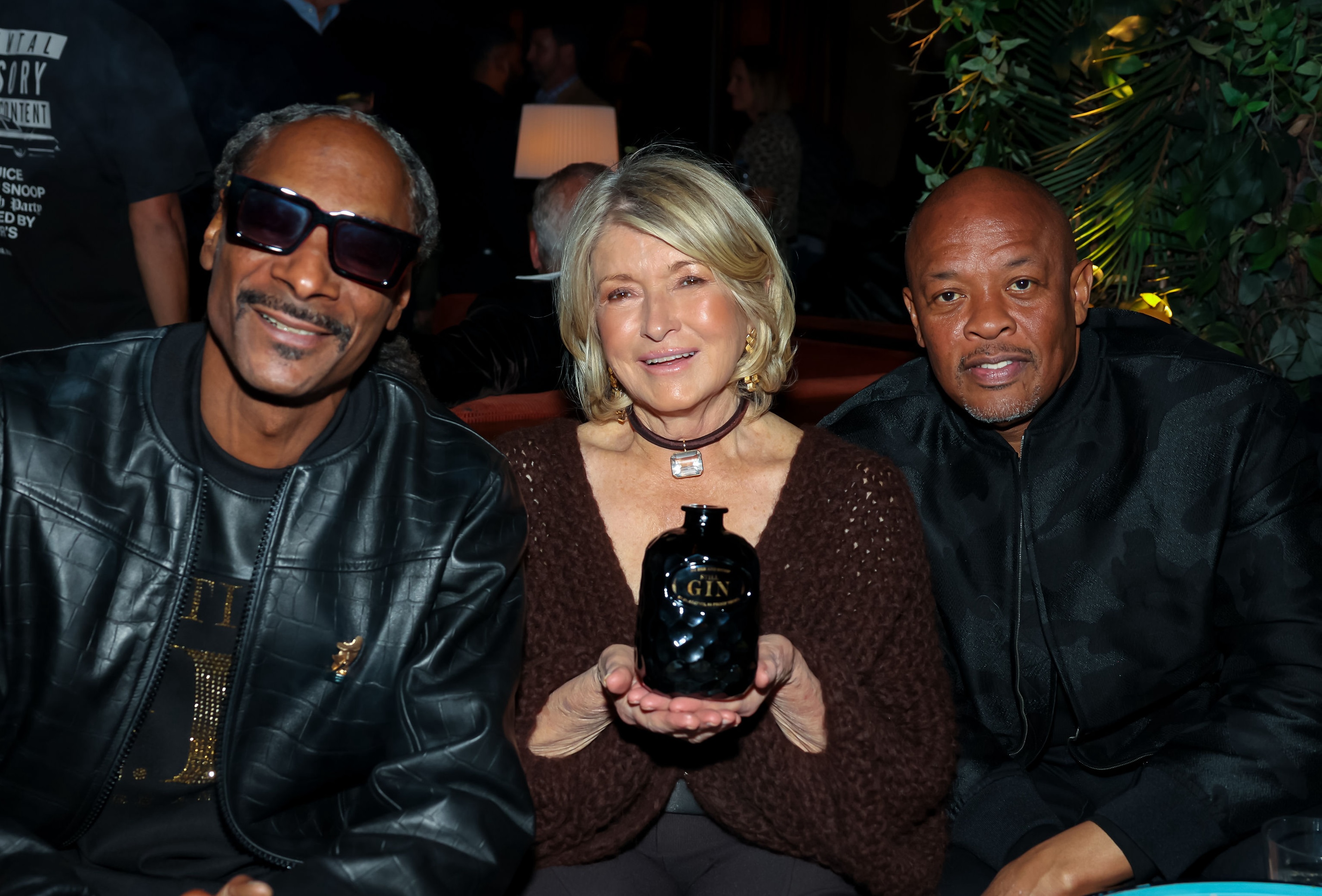 Snoop Dogg and Dr. Dre Still G.I.N. party asset