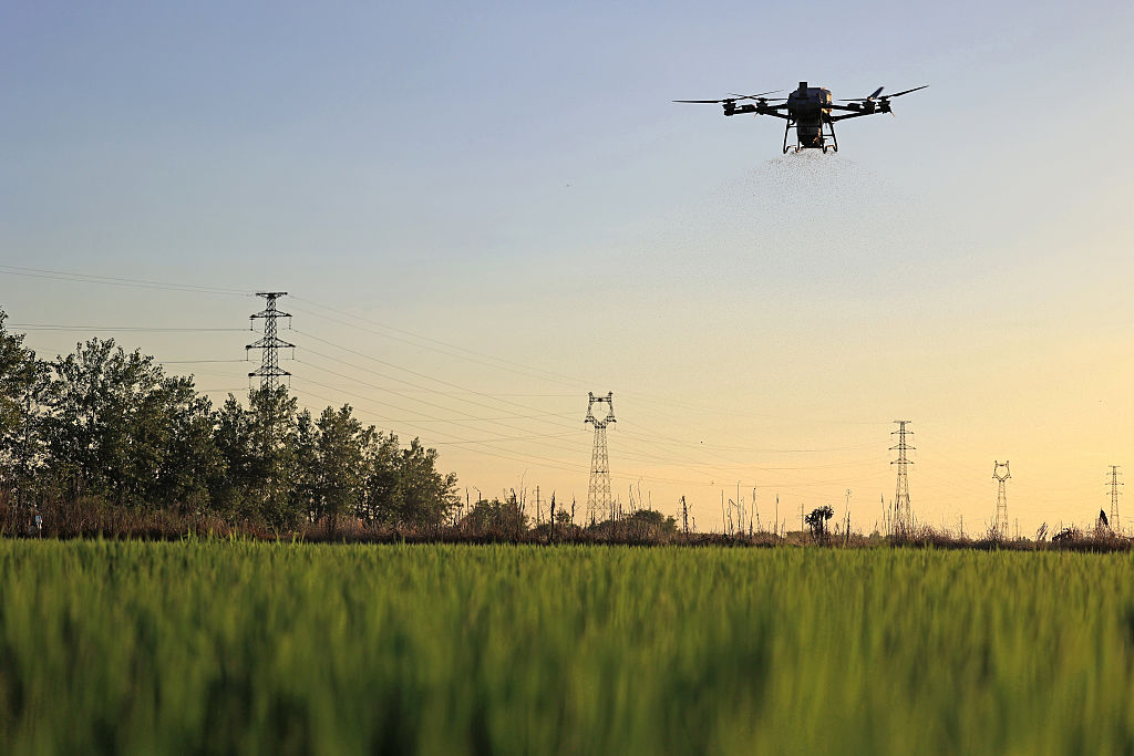 Drones Apply Fertilizer To Rice Fields In Anqing